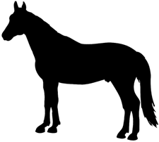 horse silohuette